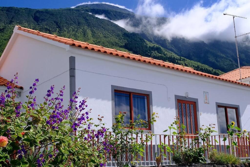 Sunflower Guest House - Madalena - Pico Sao Caetano  Eksteriør billede