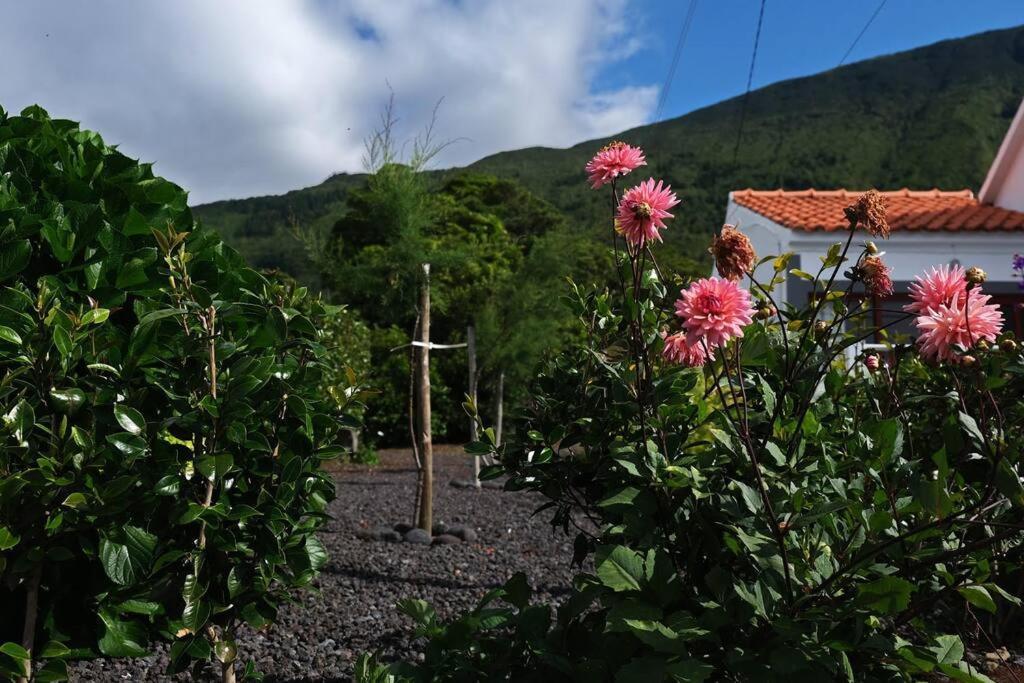 Sunflower Guest House - Madalena - Pico Sao Caetano  Eksteriør billede