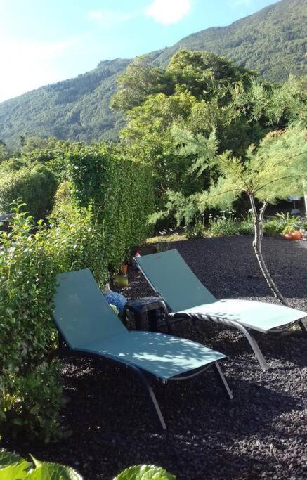 Sunflower Guest House - Madalena - Pico Sao Caetano  Eksteriør billede