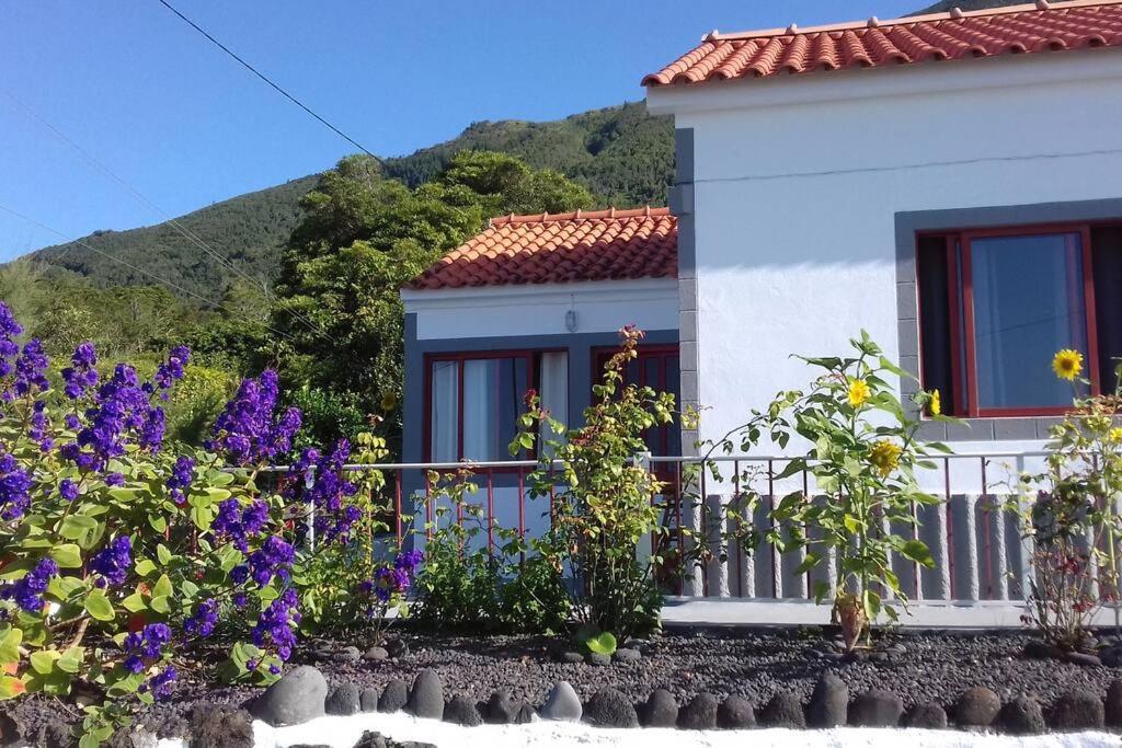 Sunflower Guest House - Madalena - Pico Sao Caetano  Eksteriør billede