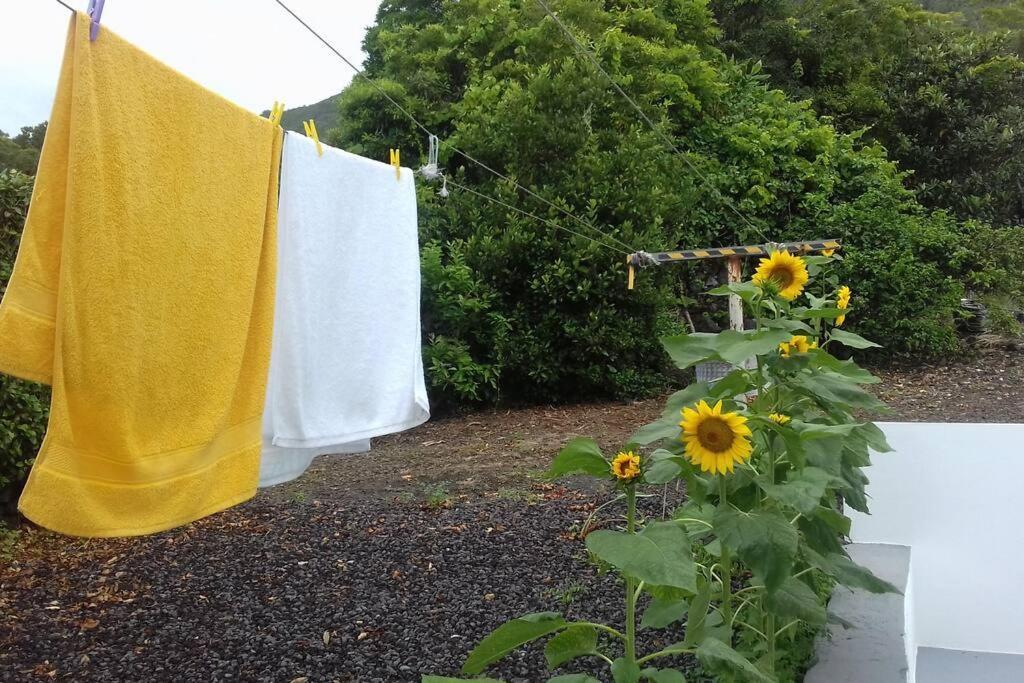 Sunflower Guest House - Madalena - Pico Sao Caetano  Eksteriør billede