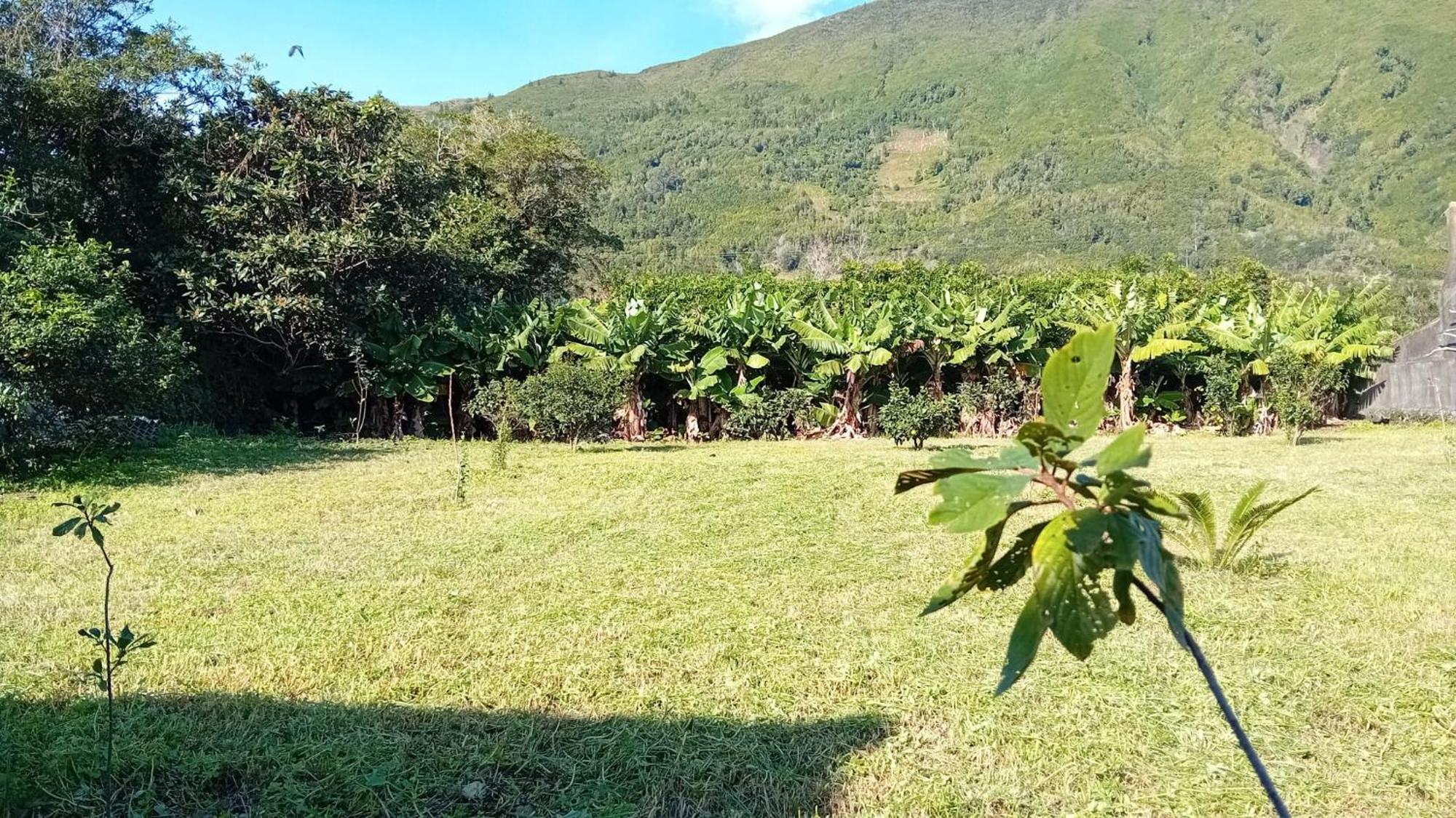 Sunflower Guest House - Madalena - Pico Sao Caetano  Eksteriør billede